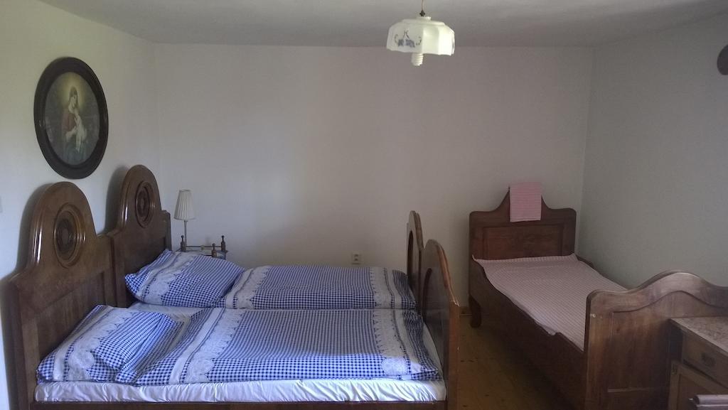 Ubytovani U Giordanu Slavonice Room photo
